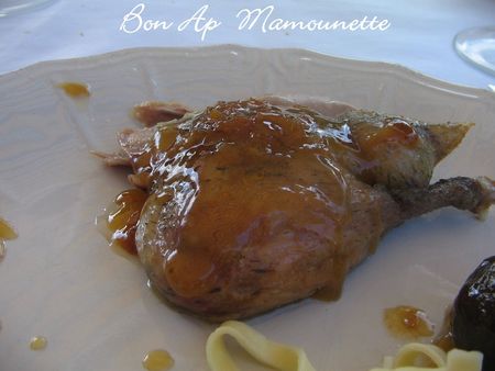 Canette_de_Noirmoutier_017