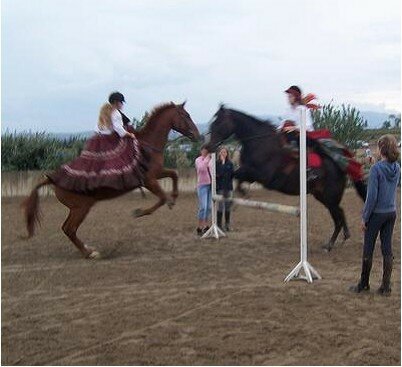 f_te_du_cheval_amazone1