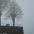 bPhotos JMP©Koufra 12 - Navarrenx - 16042017 - 038