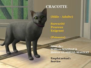 CRACOTTE
