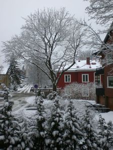 hiver1