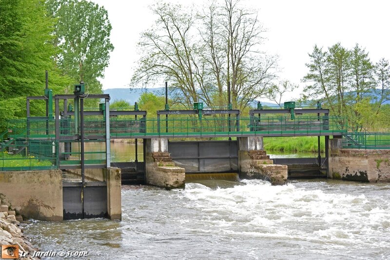 Le barrage sur l'Ill à Ehnwihr