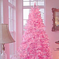 sapin rose4