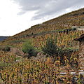 25 - Pèlerinage dans le Rhône nord (oct/nov 2011) 