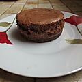 Gâteau mousse au chocolat bi-couche