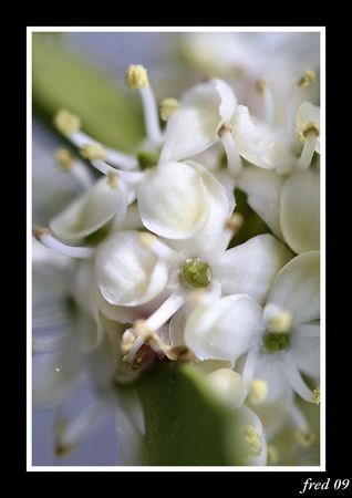 IMG_8493_sign_e