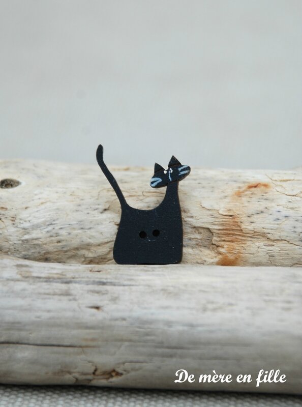 chat noir 1