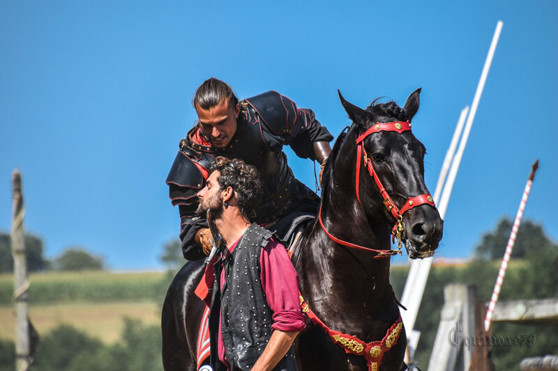 Les Vicomtes de Thouars Poitou Moyen Age (10)