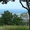 P1100541