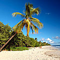 anse-prunes