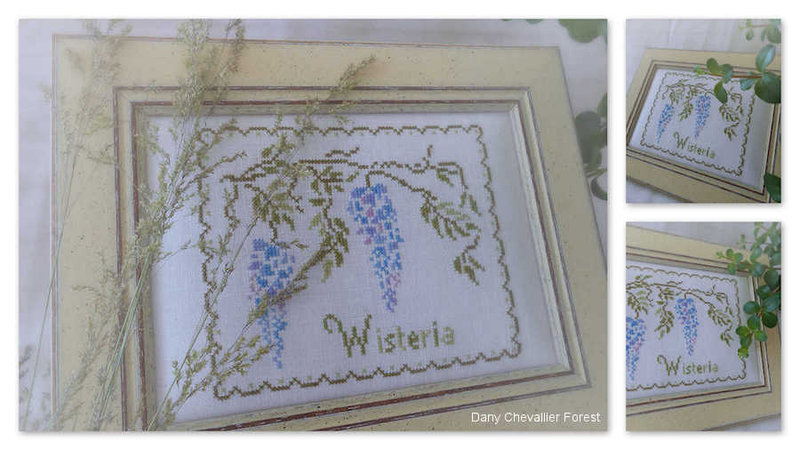 wisteria1