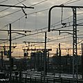 IMG_4521 2