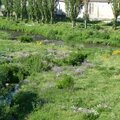 L'Allier