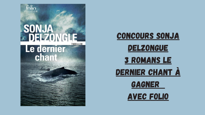 modele concours (51)