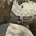 P1150206