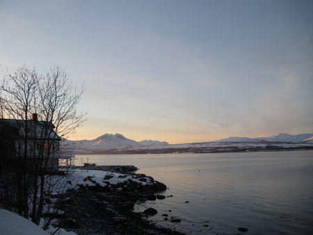 IMGP1367