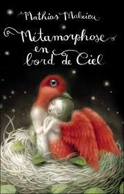 metamorphose en bord de ciel broché