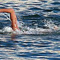 IMG_8140 - Copie