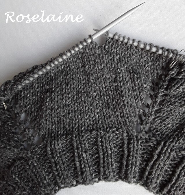 Roselaine Cropped Raglan Sweater 1