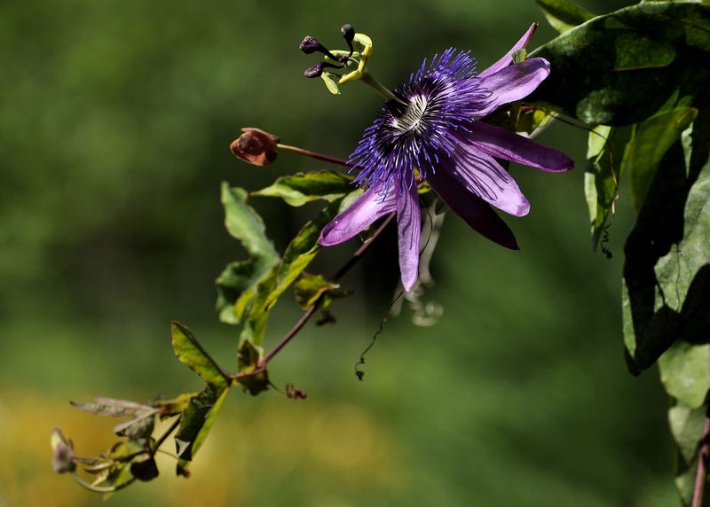 _DSC00564