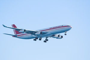 IMG_6011_01