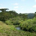 94 - Rio do sul