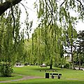 IMG_1485