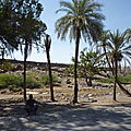 Dikhil 29 février 2012