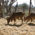 Photo 011
