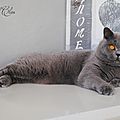 _DSC0829