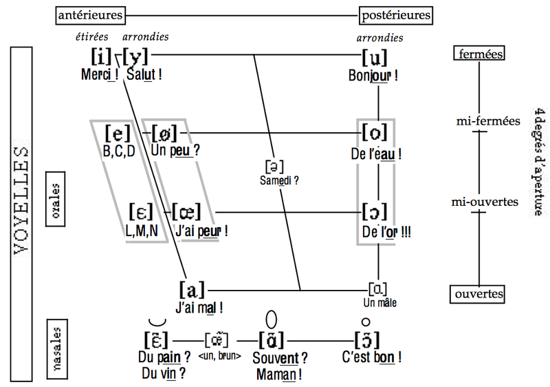 E ɛ O œ O ɔ Et E œ O Les Voyelles D Aperture Moyenne Enseignement Apprentissage De La Prononciation Du Francais