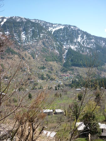 P1010422