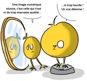 C Est Un Dilemme Lemme Ou Pas Mes Langues Aux Chats c est un dilemme lemme ou pas