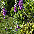 _DSC0061