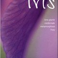 Iris - Une plante médicinale métamorphose l'eau
