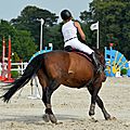 DSC_2369 (2)