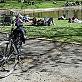 Au jardin royal de toulouse (haute-garonne) le 10 avril 2016 (2)