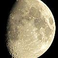 IMG_0036