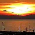 IMG_0095