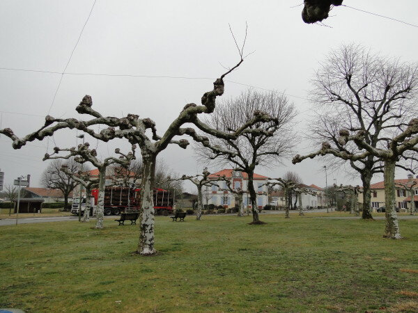 Photo-place-du-village
