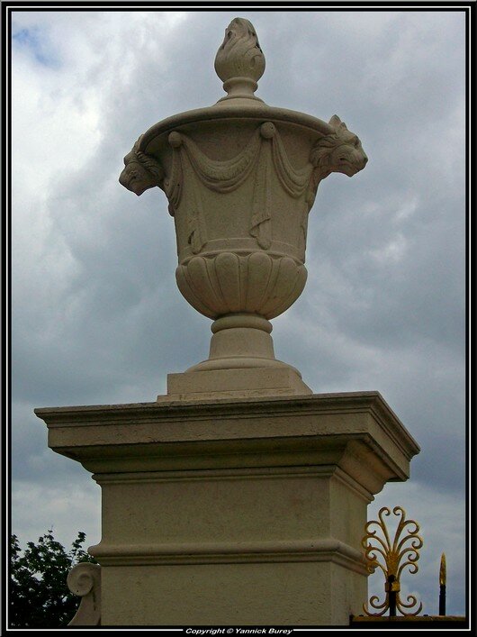 IMGP0909