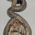 Torsade et verre (pendentif)