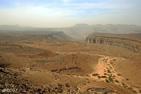 IMG_7309Y