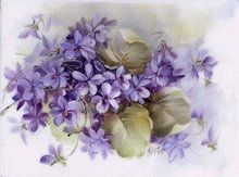 violette_1_