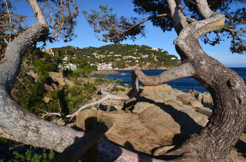 DSC_1799