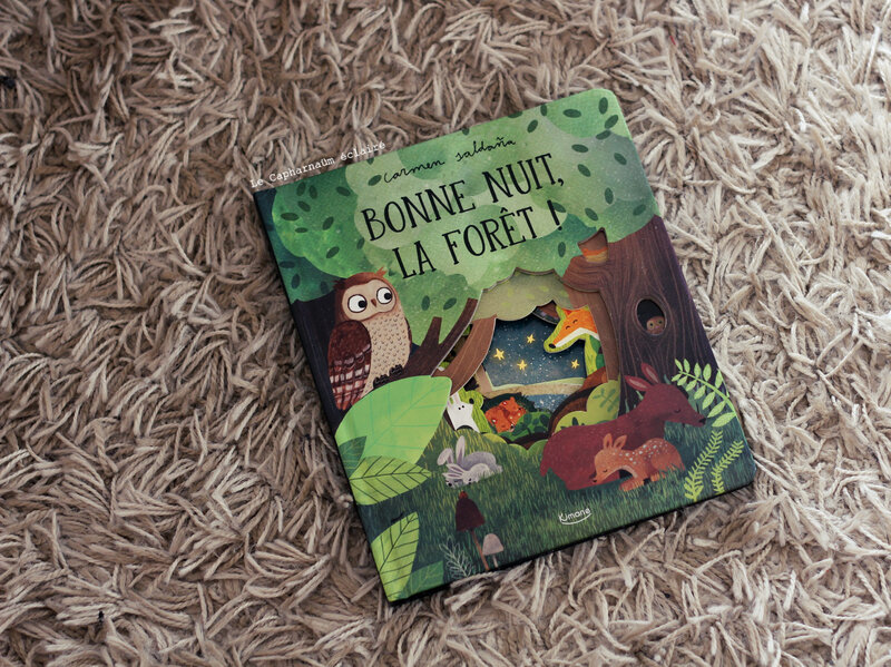 Bonne nuit la forêt 1
