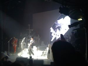 IMG_0963