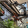 IMG_1510