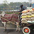 28 - New Delhi