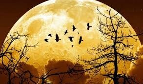 Lune6